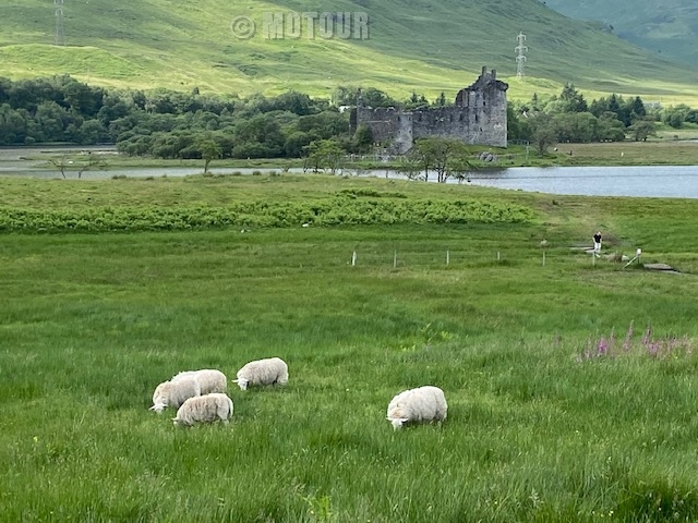 Blick auf eine Burg im schottischen Hochland